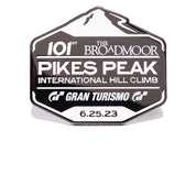 PPIHC - Logo Pin