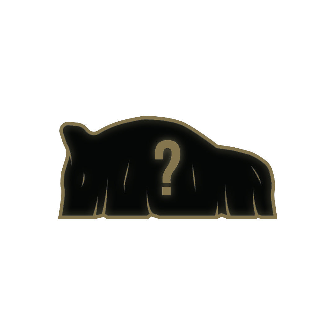 Mystery metal enamel pin