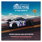 PPIHC - M4 GT4