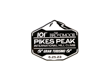 PPIHC - Logo Pin